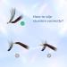 120 Clusters C Curl DIY Eyelash Extension Premade Volume Fans by MAEXUS | Individual Lashes - 0.07C 8mm-16mm MIX BP02BK20D_A - Buy Online on SooperMarket.com
