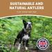 Pets Purest 100% Natural Red Deer Antlers for Dogs - 2 Small Stag Horn Bones - Premium Treat & Plaque Removal Chews - Buy Online on SooperMarket.com
