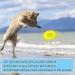 Juhonnz Mini Frisbee 6 Pack - Colorful Silicone Flying Discs for Kids Adults & Dogs - Flies Over 60 Meters | Perfect for Outdoor Games - Buy Online on SooperMarket.com