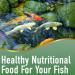 Aqua Nutrition Goldfish and Koi Pond Premium Pellet Food (2200g) BOGOF - Premium Complete Feed for All Pond Fish 5.6L - Buy Online on SooperMarket.com