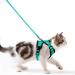 Cat dishes with a leash breakproof cat leash set adjustable soft kitten vest with reflective stripes breast dishes for small kittens (green s) green s