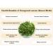 nalAmudhu Kasuri Methi Fenugreek Leaves Dried Methi Leaves 3.5oz/100g  - Buy Online on SooperMarket.com