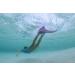 Body Glove Kids Foldable Monofin - Pink | Easy Propel & Glide for Kids and Adults in Water - Buy Online on SooperMarket.com