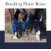 LeMieux Brushing Horse Boots - Protective Gear and Training Equipment - Equine Boots Wraps & Accessories Large Hunter Green Grafter - Buy Online on SooperMarket.com