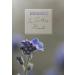 Grief Hope Floral Arrangement | In God's Hands - International Shipping - Buy Online on SooperMarket.com