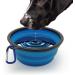 iGadgitz Home Large Foldable Travel Silicone Dog Bowl Food Water Feeding Portable Dish for Pet (Blue) - Buy Online on SooperMarket.com