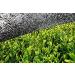 Buy Organic Matcha Powder 100g - 100% Natural Japanese Green Tea | Premium Quality | Additive-Free - bioKontor - Buy Online on SooperMarket.com