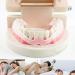 EXCEART Sleeping Tooth Guard - Ready-to-Use Children's Dental Guard for Upper or Lower Jaw - Pain Relief for Adults and Kids - Buy Online on SooperMarket.com