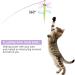 Bewudy 2 PCS Cat Wand Interactive Cat Toy Interactive Cat Wand Toys with Bells Cat Feather Toys for Indoor Cats Feather Dangler Funny Exercise for Indoor Cat Kitten Catcher (Ball) - Buy Online on SooperMarket.com