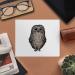 Buy Cute Owl Microfiber Lens & Eyeglass Cleaning Cloths - 2 Pack | International Shipping - Buy Online on SooperMarket.com