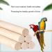 Buy Bugbags for Birds | Parrot Wood Platforms & Chewing Swings with Bells | Perfect for Green Cheeks Chinchillas & Hamsters - International Shipping Available - Buy Online on SooperMarket.com