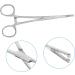 BELLIFFY Reptile Feeding Clip Reptile Tongs Feeding Snake Feeding Tongs Stainless Steel Silver - Buy Online on SooperMarket.com