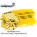 Super Absorbent Sponge By SPh2ONGE (Yellow) | Multi-Purpose | Designed to Hold 10x its Weight in Liquid | Re-usable | Perfect All Around Your Home | Effective on Every Surface | Drip-Free and Durable Yellow Block Sponge - Buy Online on SooperMarket.com