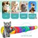 PAOPO 2-Way Collapsible Cat Tunnel Toy with Peek Hole and Ball - Interactive Cat Tube for Indoor Cats, Kittens, and Puppies - Perfect for Play and Chase - Buy Online on SooperMarket.com