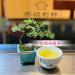Taiwan unique tea TTES No.20(Yingxiang) Shanlinxi Alpine Oolong Tea 150g*4 - Buy Online on SooperMarket.com