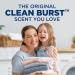 Arm & Hammer Clean Burst Liquid Laundry Detergent - 170 Loads 170 Fl Oz - Eco-Friendly & Effective Cleaning - International Shipping Available - Buy Online on SooperMarket.com