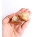 1PC Natural Raw Brazil Citrine Ore Crystal Rock Specimen Collection Home Decoration and DIY Gifts Fish Tank Stone Stones kaixun (Size : 15-30g) - Buy Online on SooperMarket.com