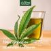 AniForte Cold-Pressed Organic Hemp Oil for Dogs & Horses - 1L 100% Pure BARF Oil | Premium Natural Product Without Additives - Buy Online on SooperMarket.com