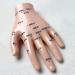 Acupuncture Hand Model Reflexology Acupoint Medical Study Kit - Buy Online on SooperMarket.com