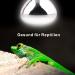 Buy Dernord 100W UV Heat Lamp for Turtles Geckos & Terrariums - Full Spectrum E27 Solar Spotlight - Buy Online on SooperMarket.com