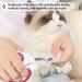 Best Claw Scissors & Nail Clippers for Cats and Small Puppies | Cat Nail Cutters & Scissors - Buy Online on SooperMarket.com