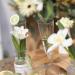 100 Pcs Disposable Clear Champagne Flutes - 5oz Plastic Wine Glasses for Party Wedding - Assemble Plastic Champagne Cups - Cocktail Cups - Buy Online on SooperMarket.com