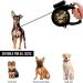 Buy Edipets Extendable & Retractable Dog Leash with LED Flashlight | Flexible Training & Walks | Military-Grade Quality for International Shipping - Buy Online on SooperMarket.com