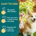The Healthy Dog Co Spot On Flea and Tick Treatment for Dogs 100ml - Buy Online on SooperMarket.com