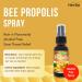 Herba Bee Propolis Throat Spray 30ml - No Alcohol | Helps Relieve Sore Throats and Mouth Infections | Rich in Flavonoids | 100% Natural - Premium Grade | Made in Canada | Alcohol Free Spray - Buy Online on SooperMarket.com