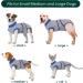 Kuoser Dog Recovery Body Suit for Male Dogs - Post-Surgery Protective Wear Breathable Leak-Proof Anti-Licking - Size XL Gray (1 Pack) - Buy Online on SooperMarket.com