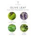Thymes Olive Leaf Body Lotion with Shea Butter, Vitamin E, and Olive Oil - 9.25 oz (Pack of 1) - Buy Online on SooperMarket.com