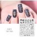Alexnailart Nail Stamping Plates | Nail Art Templates & Design Tools for Perfect Manicures - SKY 005 - Buy Online on SooperMarket.com