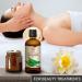 Aloe Vera Pure Oil 100ml - Aloe Barbadensis Brasil - Skin, Face & Baby Oil - Glass Bottle - Buy Online on SooperMarket.com