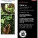 Fire Mountain White Penja Pepper 100g - 100% Natural Peppercorn Berries from Cameroon's Penja Valley - Buy Online on SooperMarket.com