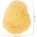 FOYTOKI Natural Sponge Greece Facial Cleansing Sponge Face Sponges for Cleansing and Exfoliating Face Cleansing Pads Facial Sponges for Women Face Sponge for Washing Face Cleansing Sponges - Buy Online on SooperMarket.com