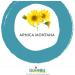 Arnica Montana 30ch Pack of 3 tubes Boiron Homeopathic Medicine Multi Dose Tube & Arnicare Bruise Swelling Bumps and Oedema Natural Sourced 45 Gram - Buy Online on SooperMarket.com