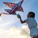 Large Flerigh Plane Kite for Kids and Adults | Easy to Fly & Assemble | Ideal for Beginners & Professionals | Beach & Outdoor Activities | Ages 4-12 - Buy Online on SooperMarket.com