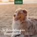 Aniforte Bladder Formula for Dogs - 100g | Supports Bladder Function & Reduces Urine Loss - Buy Online on SooperMarket.com