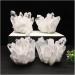 Gift Natural Beautiful White Crystal Cluster Quartz Raw Ore Home Decor Crafts Ornaments Specimens for Healing Crystals (Size : 600-700g) - Buy Online on SooperMarket.com