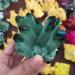 Specimen Healed 260g Natural Crystal Green Ghost Crystal Cluster As a Gift kaixun - Buy Online on SooperMarket.com