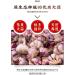 Laba Garlic 250/500g Shandong specialty authentic emerald green garlic green garlic sugar garlic sweet and sour garlic delicious snacks (500g 3bags) - Buy Online on SooperMarket.com
