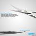 Nail Scissors Professional Cuticle Scissors Extra Strong Straight Curved Manicure Nail Art Scissors (CS-04) - Buy Online on SooperMarket.com