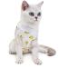 NashaFeiLi Professional Cat Recovery Suit for Abdominal Wounds and Skin Diseases E-Collar Alternative for Cats Dogs (Banana L) Banana L--Back length 35cm - Buy Online on SooperMarket.com