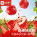 Old Beijing rock sugar gourd (200g/15 small bags) hawthorn fruit cake candy Snack Foods sweet and sour snacks preserved fruit delicious Chinese Special snack gifts (1 bag (15 small bags)) 1.00 g (Pack of 1) - Buy Online on SooperMarket.com