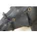 Buy PS Horse French Cavesson Cavecon with D-Rings - Soft Full Brown with Gold Fittings | International Shipping Available - Buy Online on SooperMarket.com