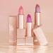 Oulac Bronze Shimmer Lipstick for Women - Moisturizing Tinted Lip Balm with Shea Butter - Vegan Gluten-Free Formula for Hydrated & Smooth Lips - Precious Moment (PG06) - Buy Online on SooperMarket.com