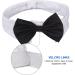 Formal Pets Bowtie Dog Cat Pets Adjustable Bow Tie and Collar Cats Puppy Grooming Ties Party Accessories Adjustable Pets Dog Cat Bow Tie Pet Costume Necktie Collar for Medium Large Boy Dog L (Pack of 1) - Buy Online on SooperMarket.com