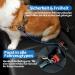 Buy Mi Metty Strap-On Dog Car Leash - Bite-Proof Steel Wire 24 inch/60 cm Red+Blue - Perfect for All Dogs - International Shipping Available - Buy Online on SooperMarket.com