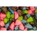 Pettex Roman Gravel Aquatic Roman Gravel 2 Kg Coloured Multi Mix - Buy Online on SooperMarket.com