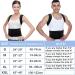 Back Brace Posture Corrector for Women Men -Adjustable and Breathable Support Scoliosis Back Brace for Waist Back and Shoulder Pain - Improve Back Posture for Body Correction and Lumbar Support M(29"-33") - Buy Online on SooperMarket.com
